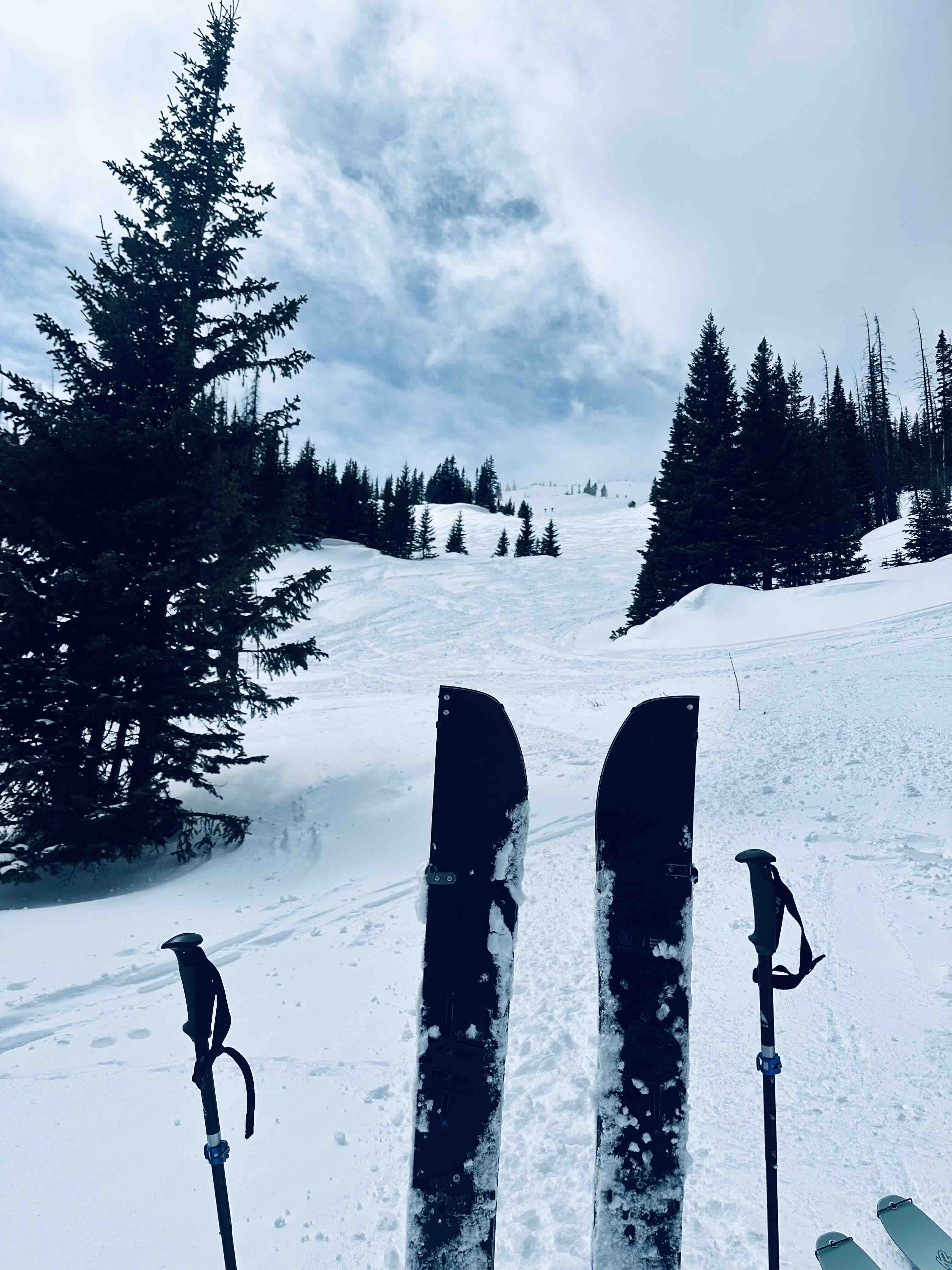 Intro to backcountry skiing—beacon check and safe route selection during CME trip